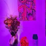Le Petit Bamboo - Apartamento
