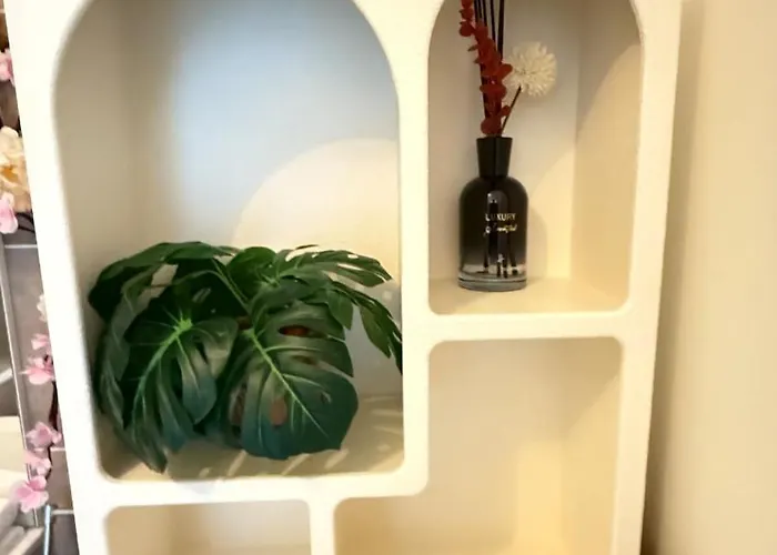 Le Petit Bamboo - * 梅斯